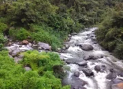 BKSDA Pastikan Aktivitas Wisata Pemandian di Lembah Anai Ilegal