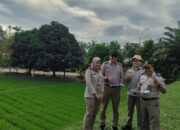 Kantor Pertanahan Kabupaten Dharmasraya Evaluasi Alih Fungsi Lahan Sawah