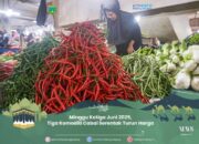 Minggu Ketiga Juni 2025, Tiga Komoditi Cabai Serentak Turun Harga
