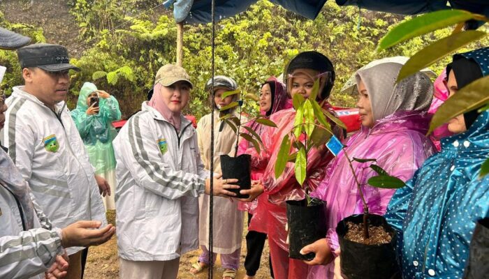 Pemko Padang Panjang Tebar Bibit Durian Musang King dan Alpukat Aligator untuk Warga