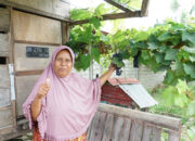 Bukan Hanya bagi Petani, Kampung Reforma Agraria Desa Duyu Juga Bantu Ekonomi Warga Sekitar