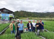 Soft Launching Produk Amifol -K, PT Indrago Sukses, Petani Sambut Hangat