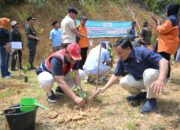 Pulihkan Ekologi Pascabencana, PT Semen Padang Serahkan 10 Ribu Bibit Kaliandra Dukung Gerakan Sejuta Pohon