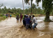 Walhi Sumbar : 26.503 Jiwa, 651 Ha Sawah, dan Ruang Hidup Warga Bungus Teluk Kabung dalam Ancaman
