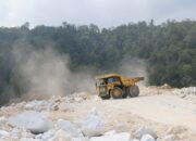 7 Bahan Baku Rahasia Pembuat Semen, Nomor 6 Bikin Lebih Kuat dan Tahan Lama