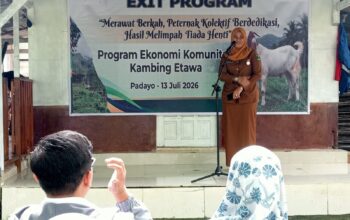 UPZ Baznas Semen Padang Tuntaskan Program Kambing Etawa, Dorong Mustahik Menjadi Muzaki