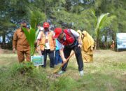 Disaksikan Menteri LH, PT Semen Padang Serahkan 3.300 Bibit Mangrove untuk Dukung Tobat Ekologis di Sumbar