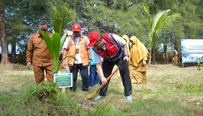 Disaksikan Menteri LH, PT Semen Padang Serahkan 3.300 Bibit Mangrove untuk Dukung Tobat Ekologis di Sumbar