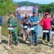 Investasi Ekologis untuk Nelayan: PT Semen Padang Bersama Kodaeral II Hadirkan 1.000 Mangrove di Pantai Manjuto
